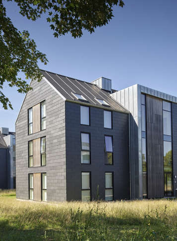 Afledning af regnvand